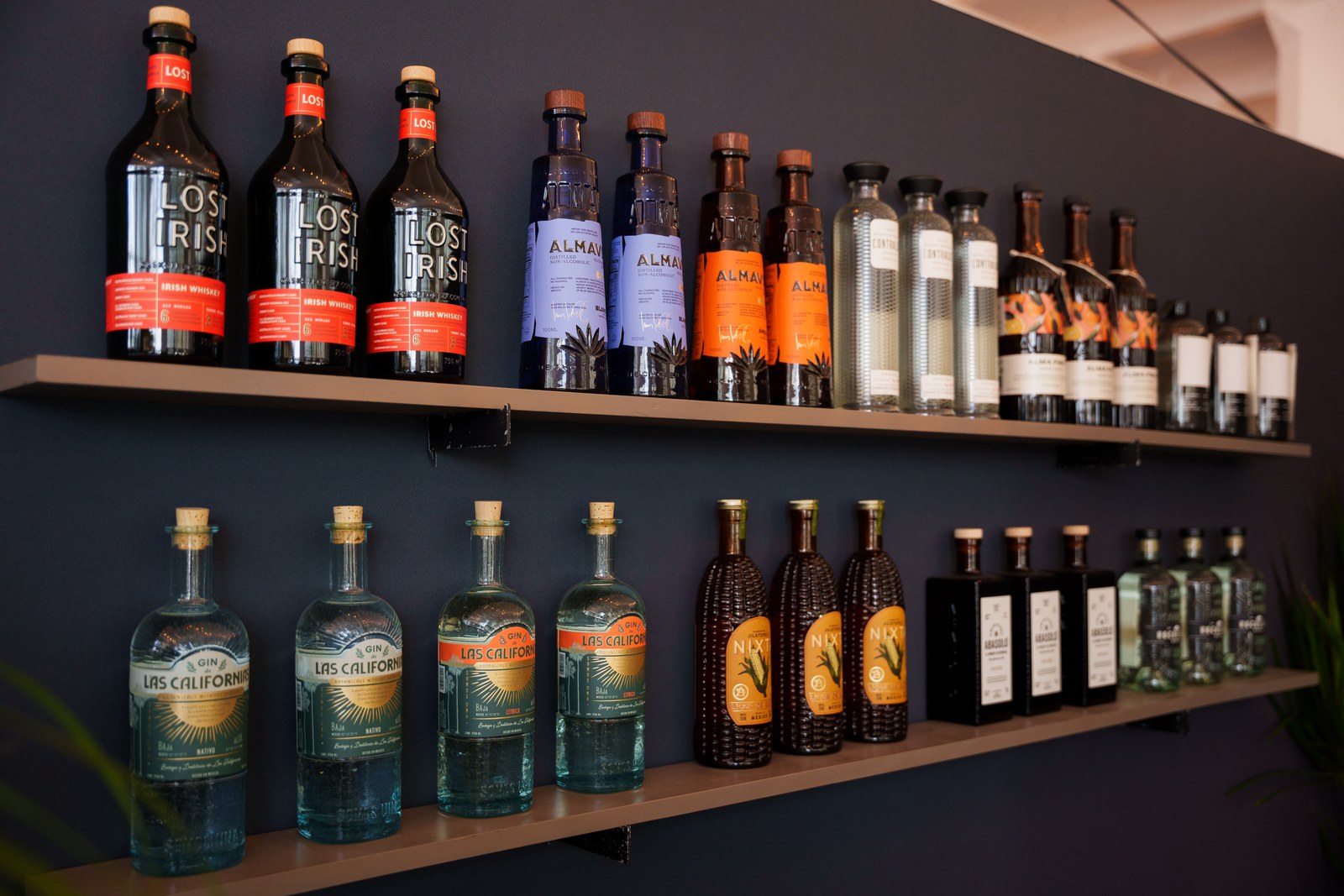Shelves of Almave and Casa Lumbre spirit bottles line a dark navy wall in New York