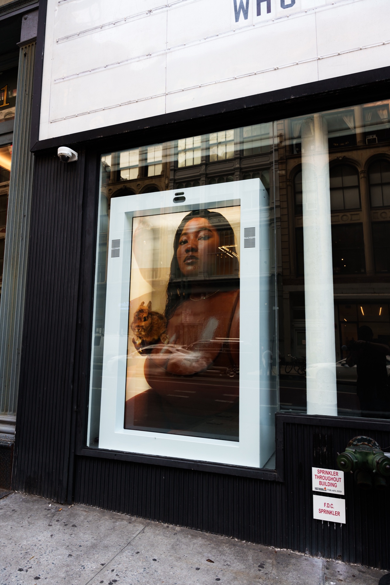 Storefront window with a framed screen showing a woman holding a small dog, black facade and marquee above