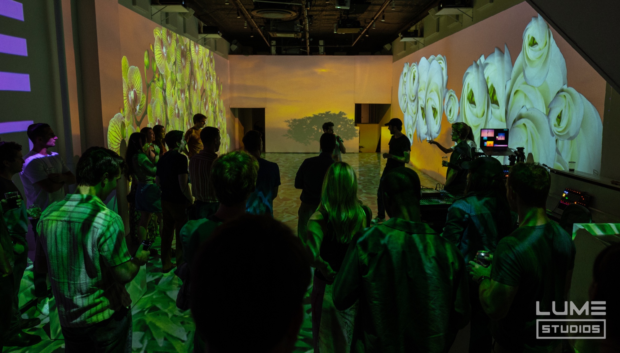 Green lit crowd faces walls projected with pale flower petals in a dark studio